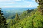 2014-07-05_Laengental-N-Hochweg (733). JPG
